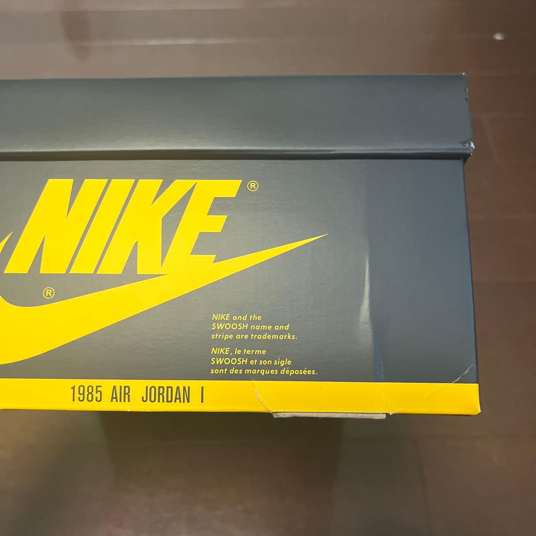 靴 Nike Air Jordan 1 High OG \"Pollen\"