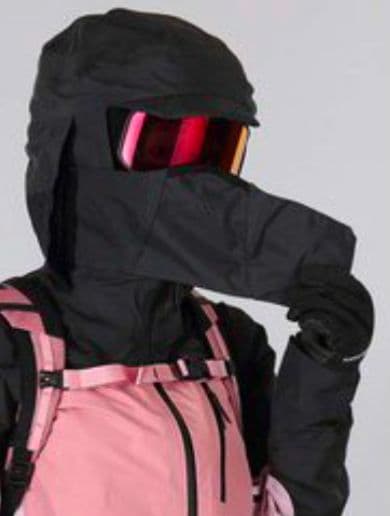 スキー Peak Performace W Vertical Gore-Tex Pro