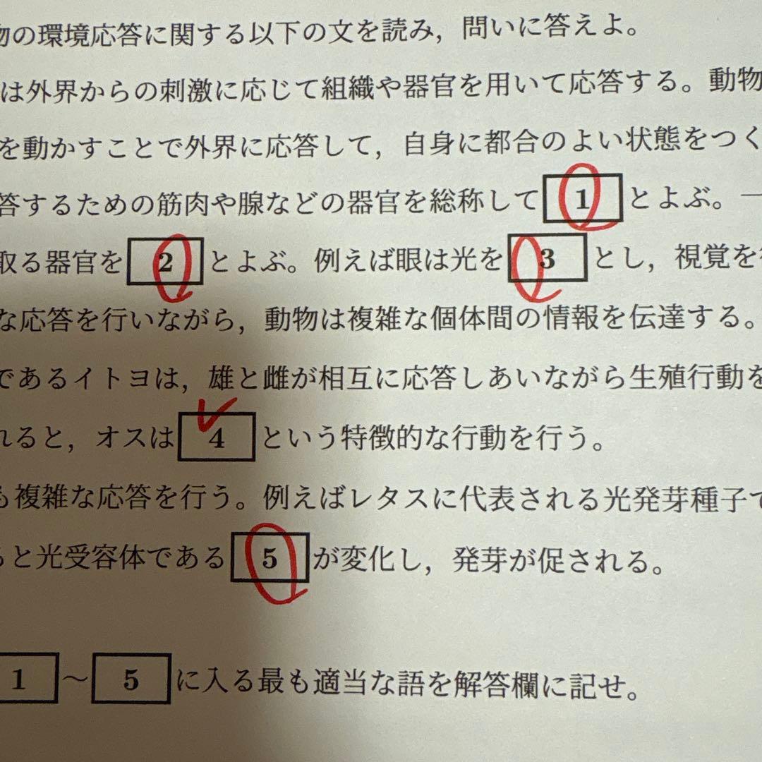 YMS 医学部模試 解答解説付き　2024/2025 2年分セット