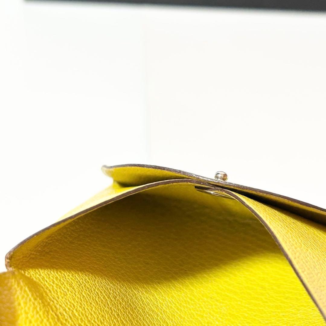 HERMÈSバスティア Bastia マイソールゴートスキン ケース