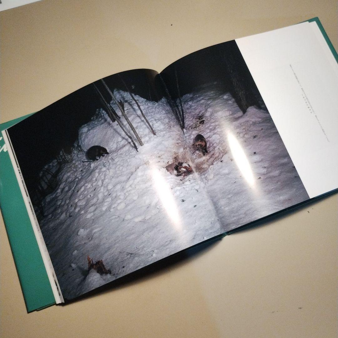 死　宮崎学 写真集