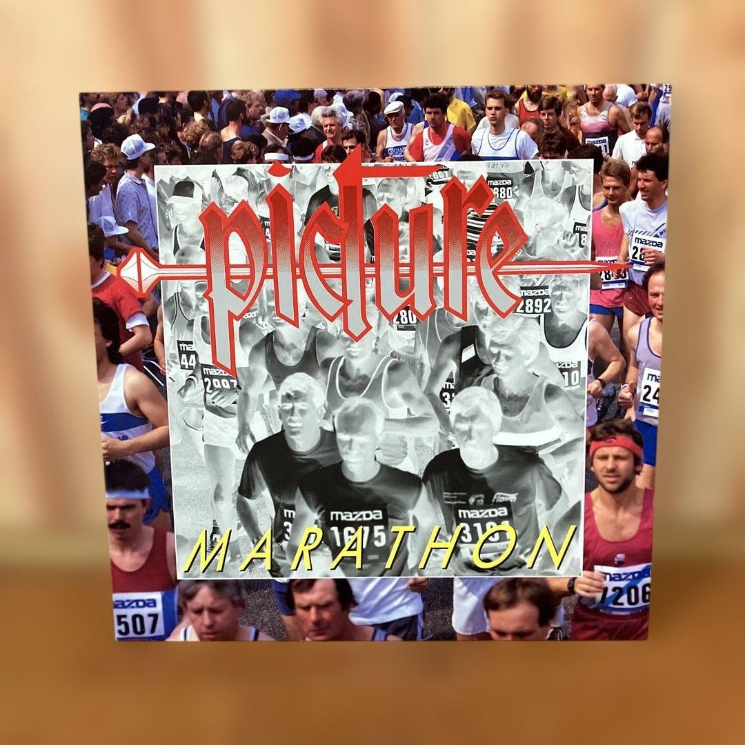 PICTURE ピクチャー ヘヴィメタル