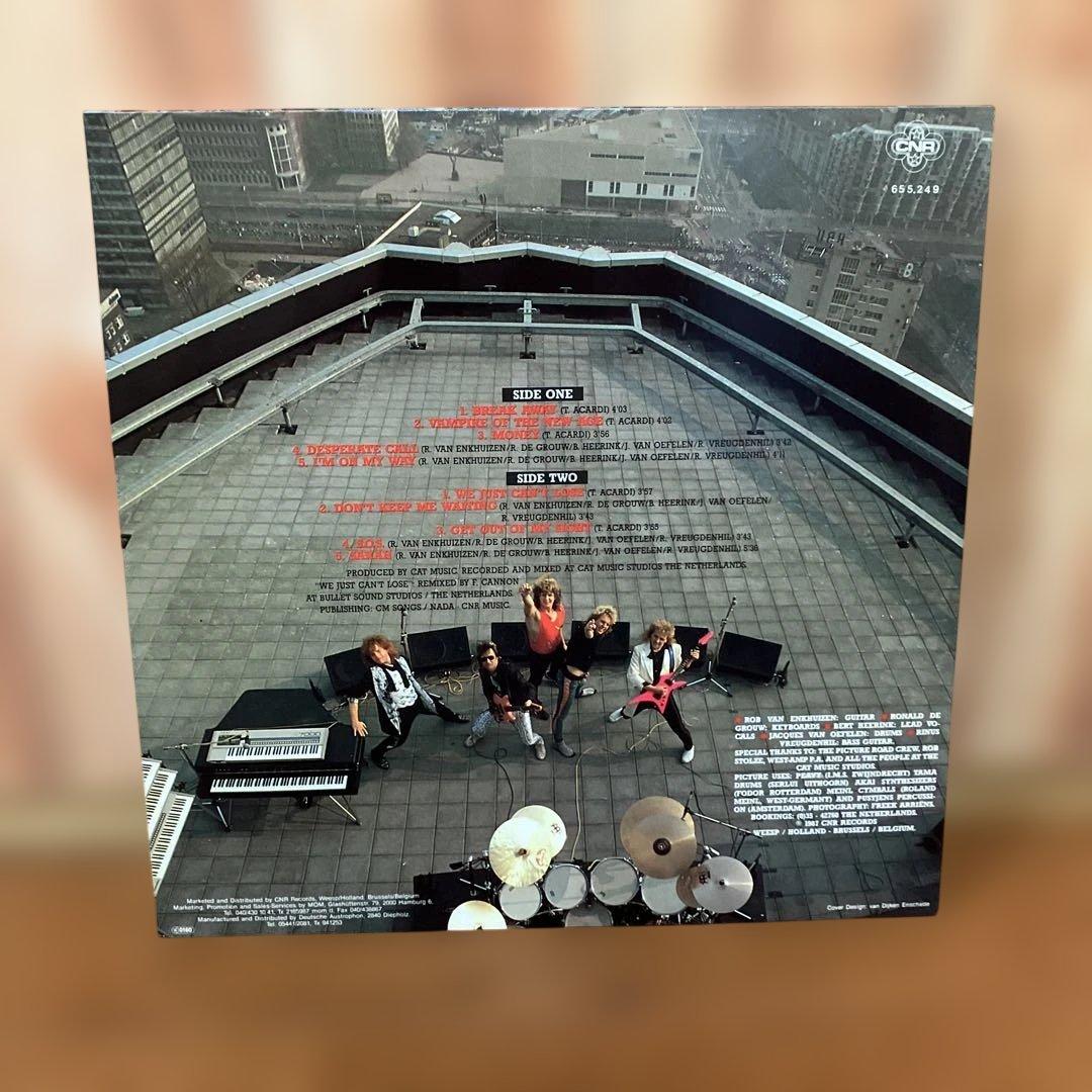 PICTURE ピクチャー ヘヴィメタル