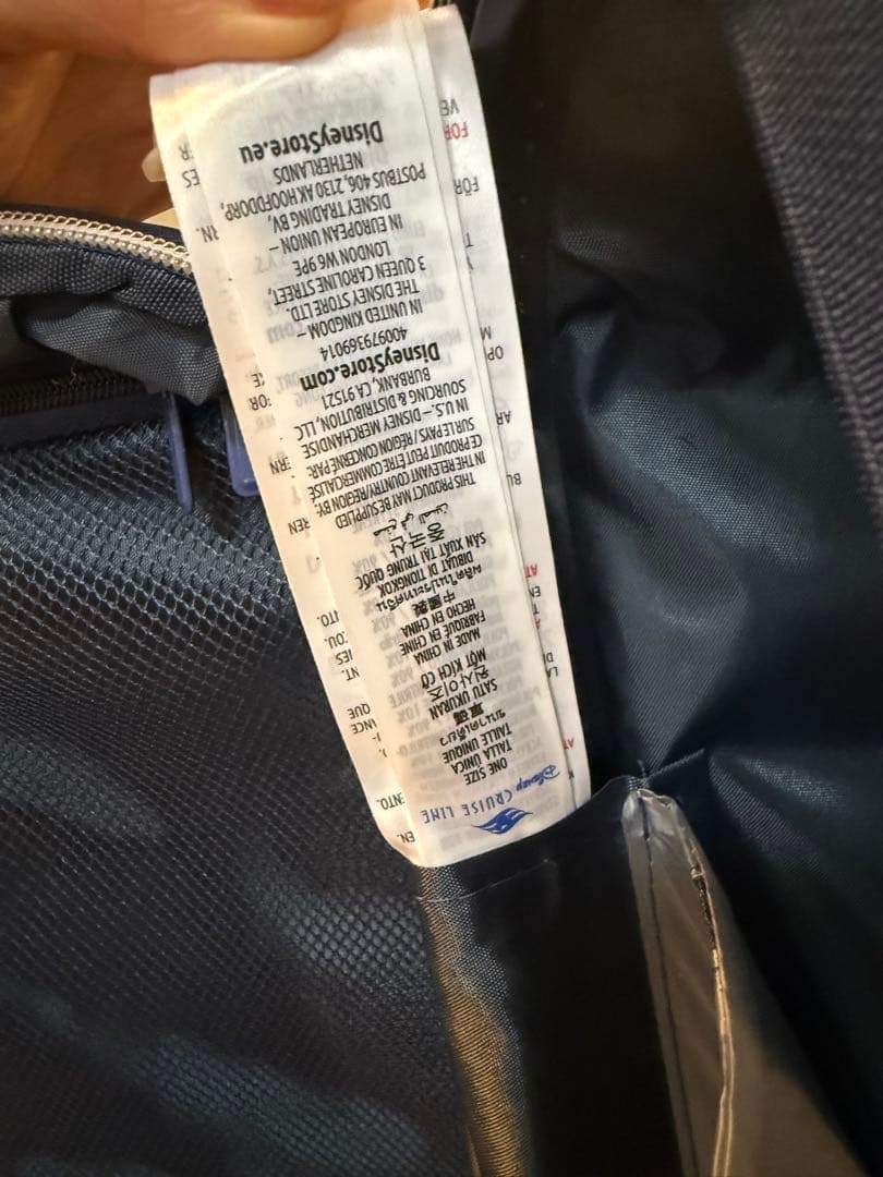 Disney cruise ネイビーブルー キャリーケース