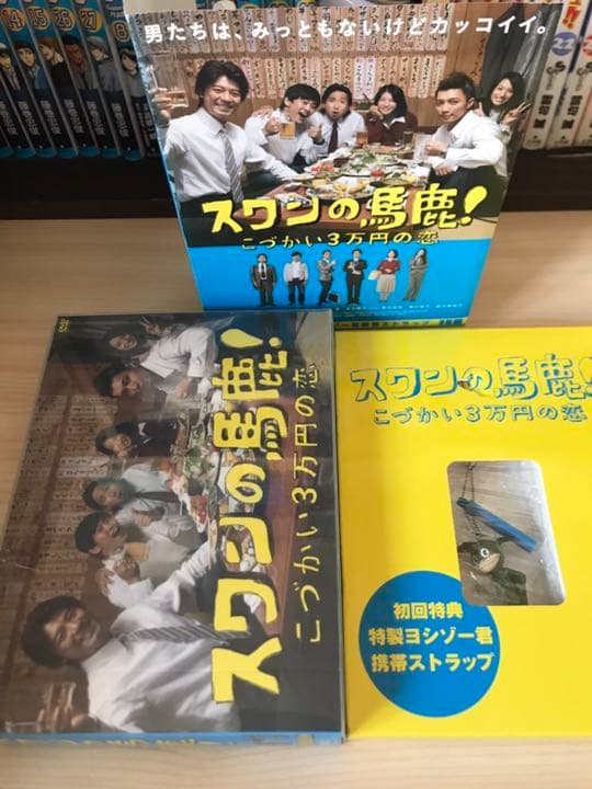 訳あり　スワンの馬鹿!～こづかい3万円の恋～