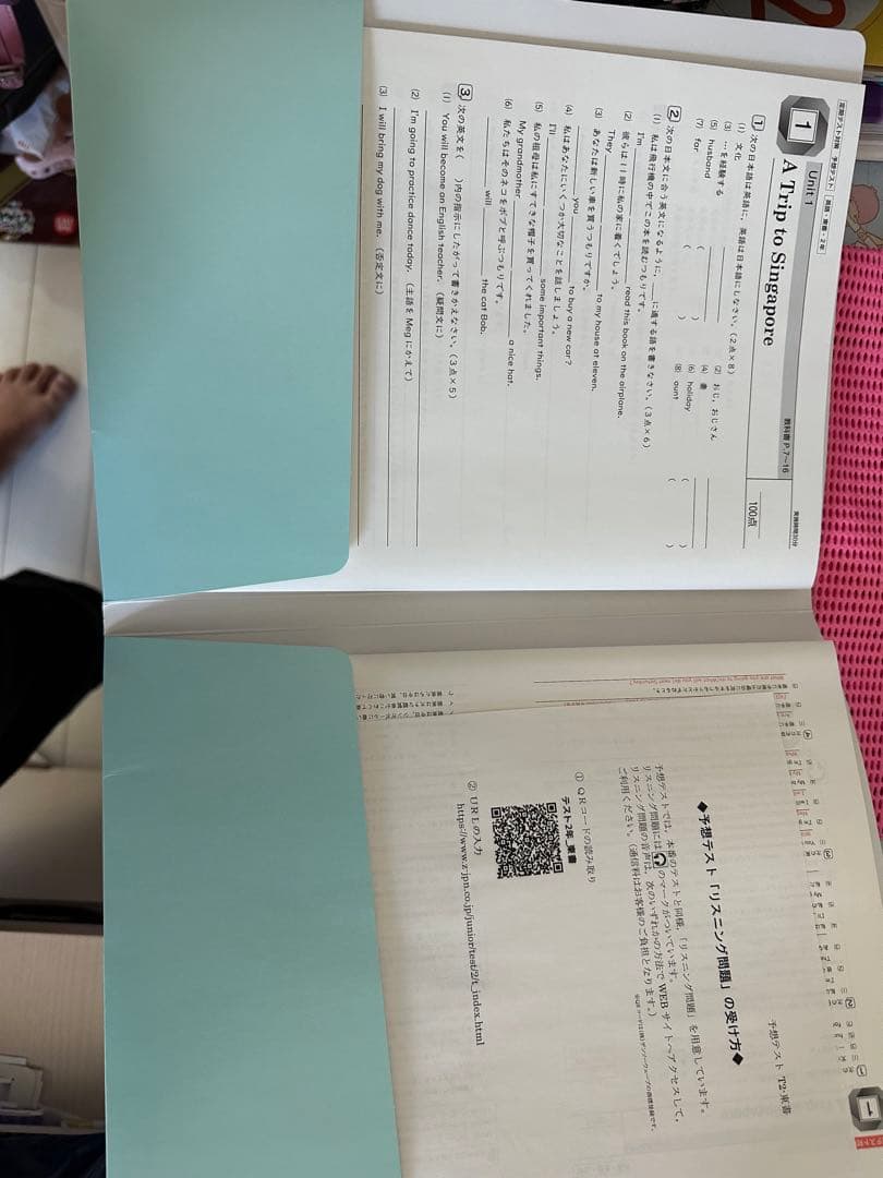 誰か買って下さい。マスタープログラム！中学生の三年間教材