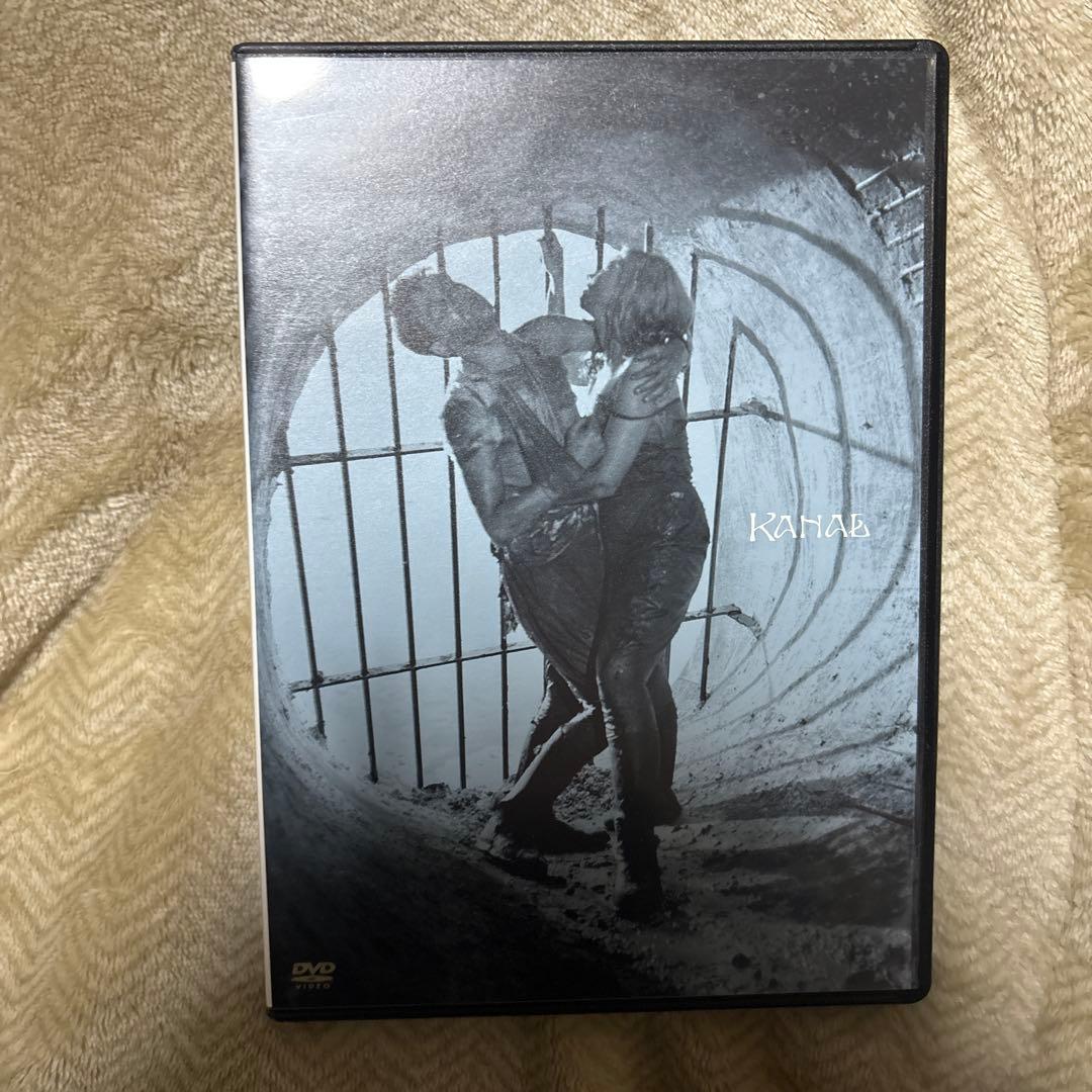 アンジェイ・ワイダ DVD-BOX1〈3枚組〉