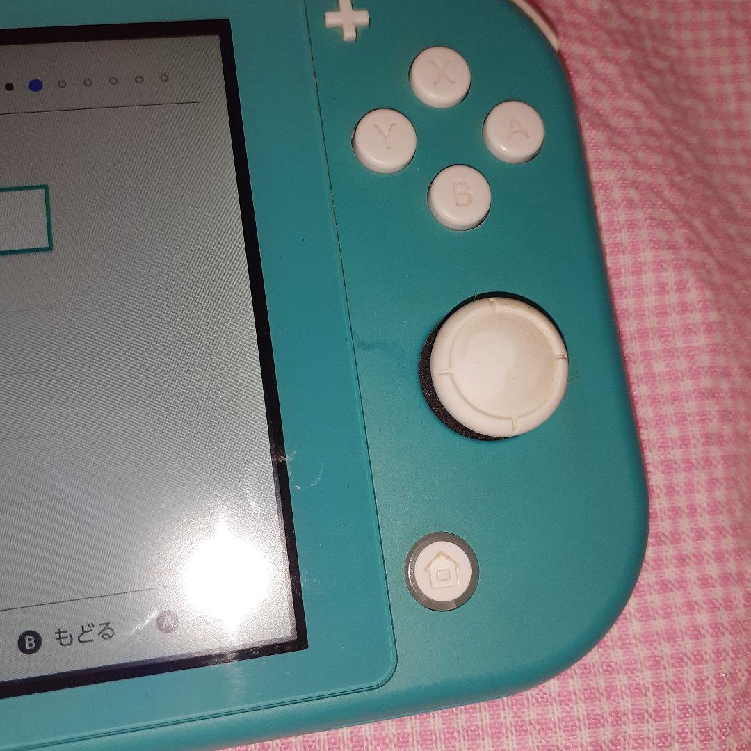 ジャンク！Switch Lite 純正ジョイコントローラー オマケソフト付き。