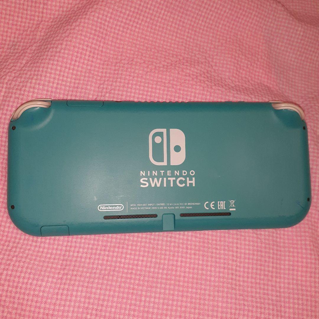 ジャンク！Switch Lite 純正ジョイコントローラー オマケソフト付き。