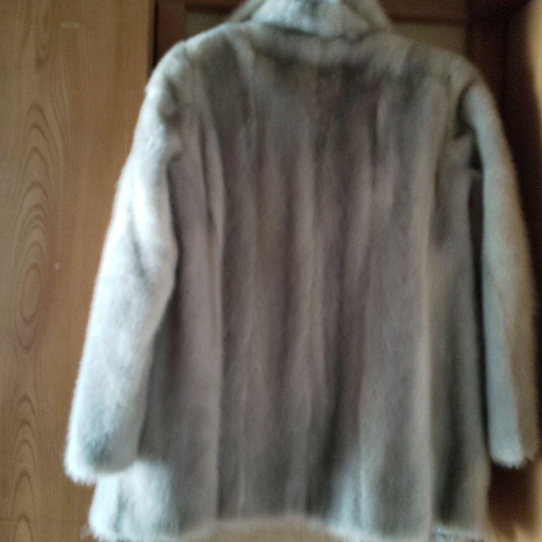 ミンク、 シルバーブルーです