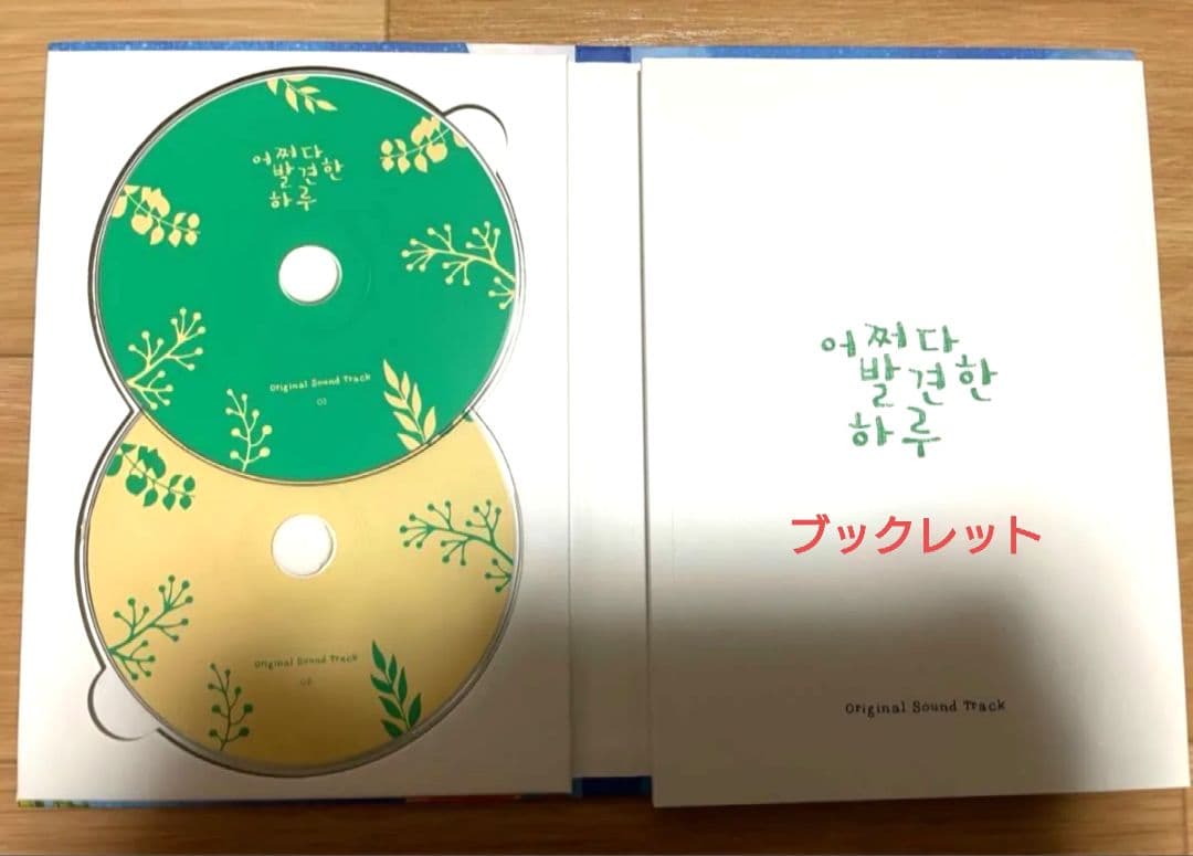 韓国ドラマ　偶然見つけたハル ost 어쩌다 Extraordinary you