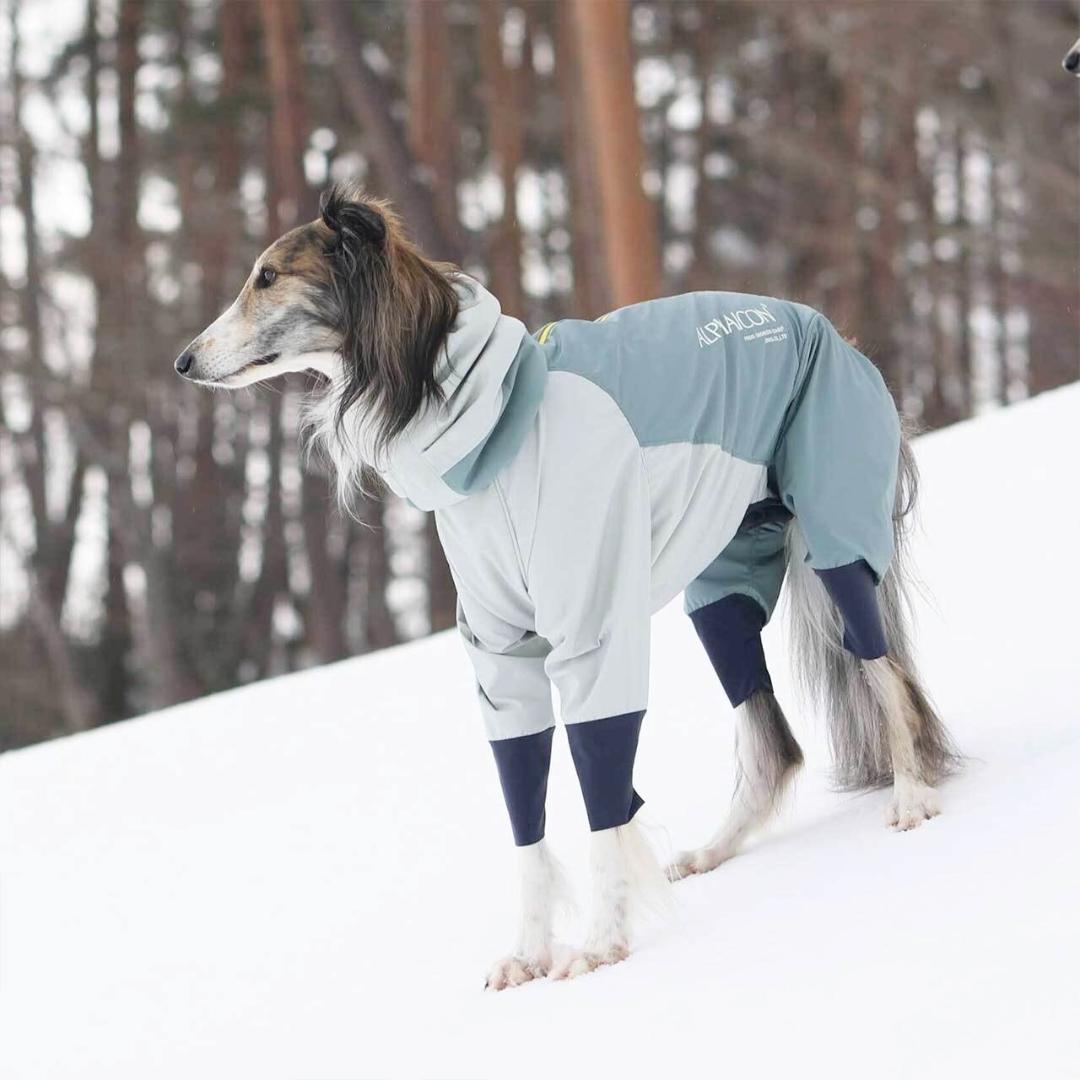 新品　アルファアイコン　スノードッグガード　3L　2024年モデル　ミント