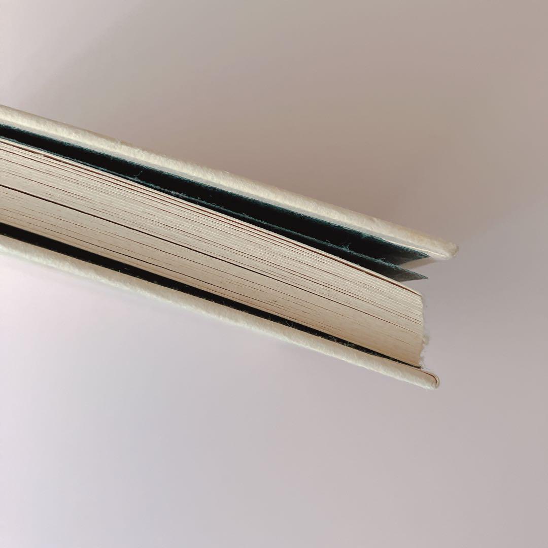 杉本さなえ Close Your Ears 作品集 画集　初版本