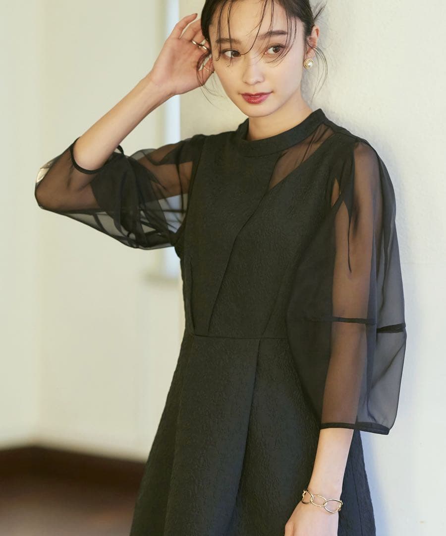 RUIRUE BOUTIQUE シアーランタンスリーブふくれジャガードドレス