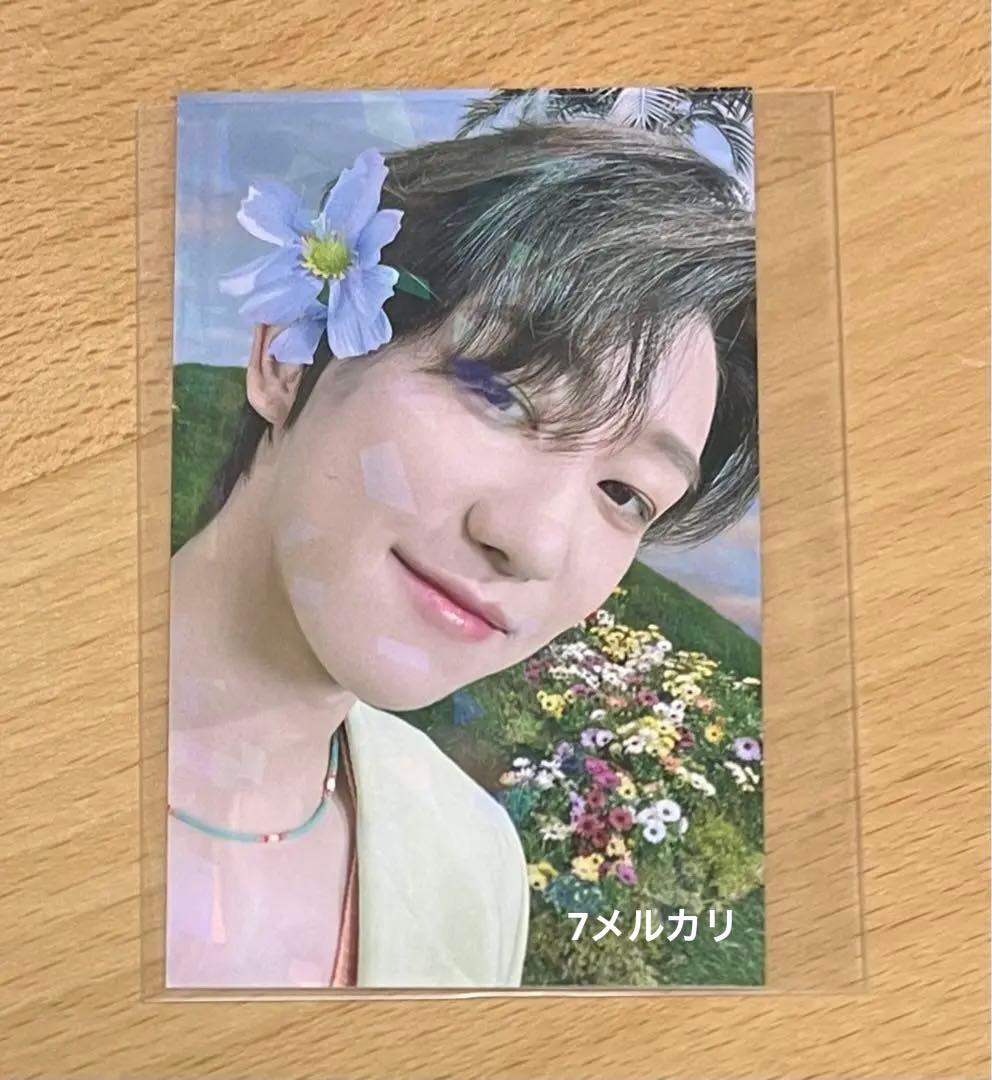 SEVENTEEN ラキドロ ディエイト sector17