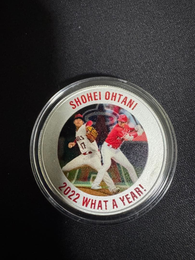 大谷翔平　純銀メダル