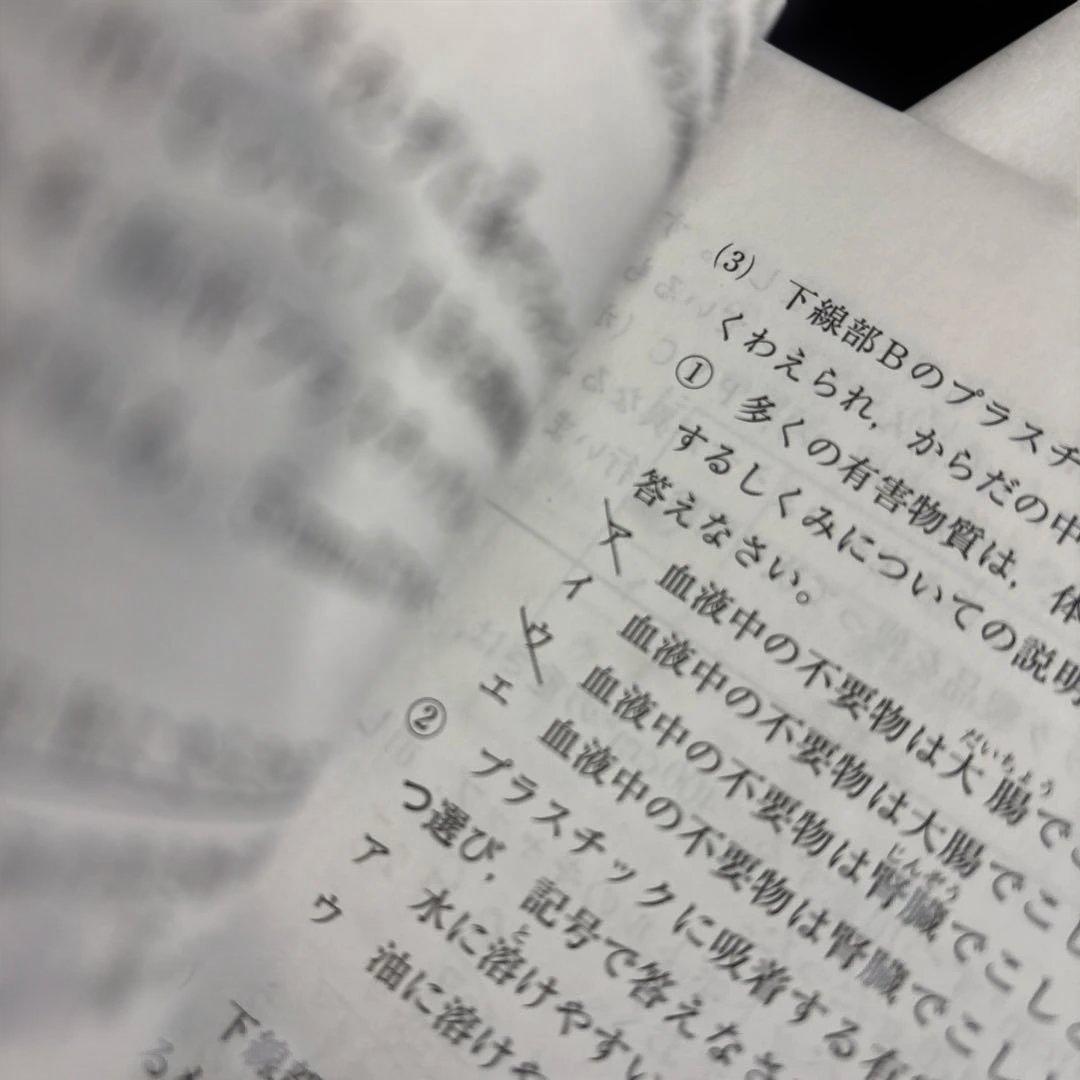 SAPIX 2024年実施の6年生テスト1年分フルセット17回分