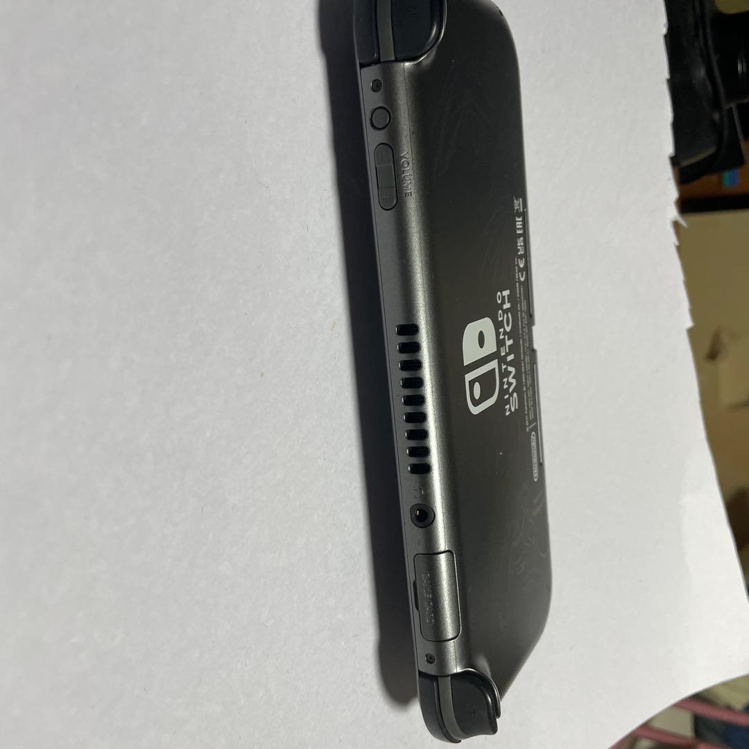 特別デザイン Nintendo Switch Lite 充電器付き