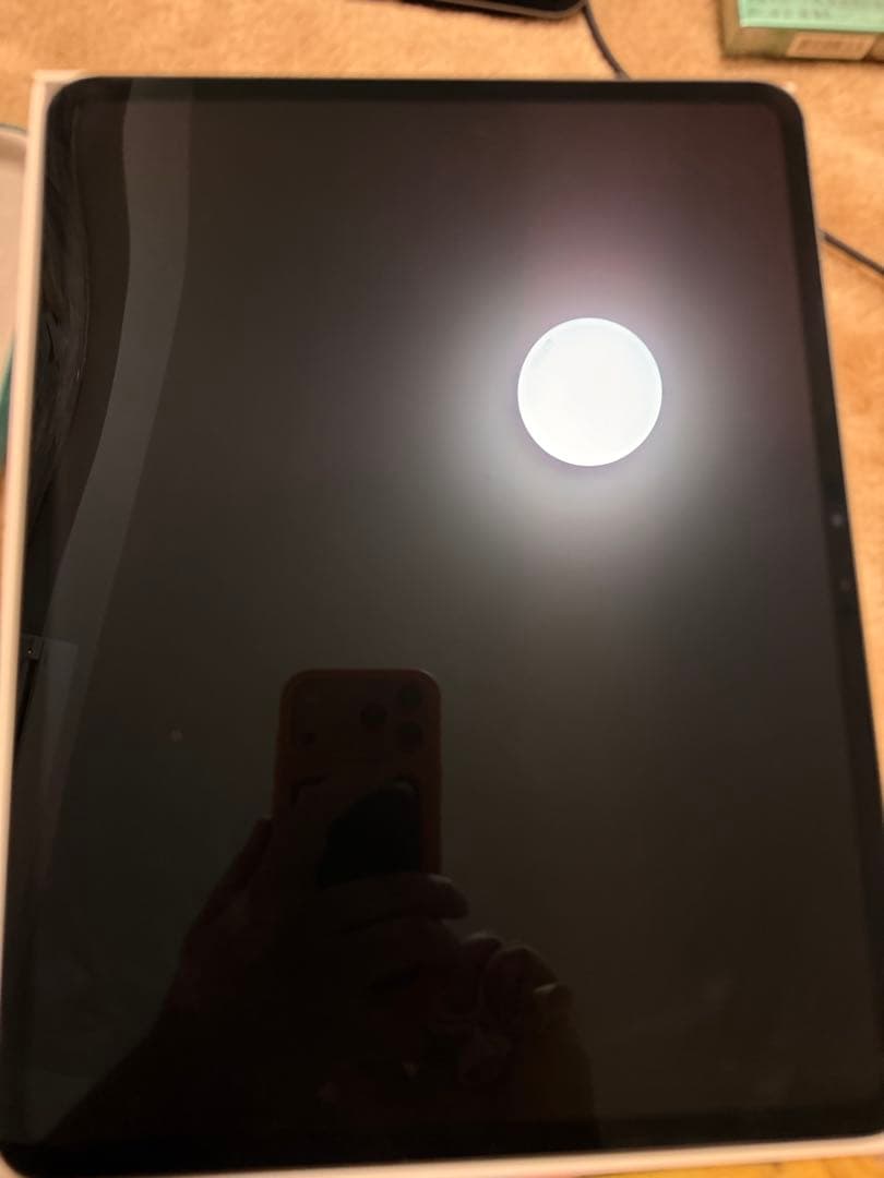 iPad Pro 256GB 13インチ M4チップ ジャンク品