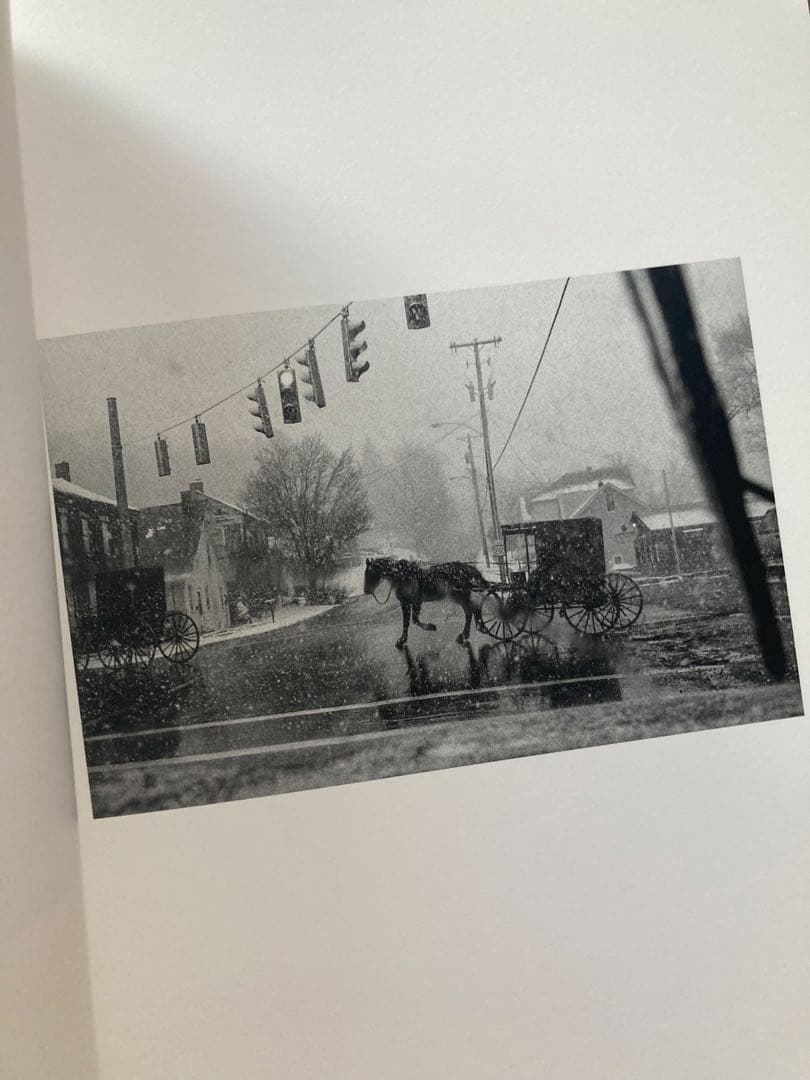 洋書 Jesse Lenz the seraphim