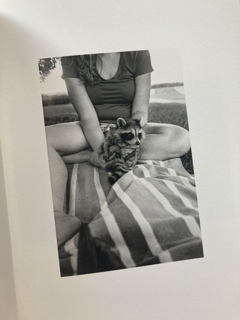 洋書 Jesse Lenz the seraphim