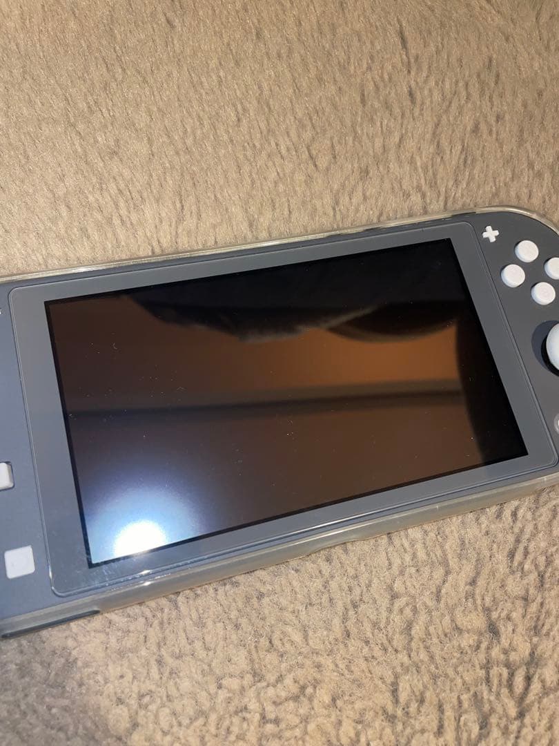 Nintendo Switch Lite グレー 充電器・ケース付き