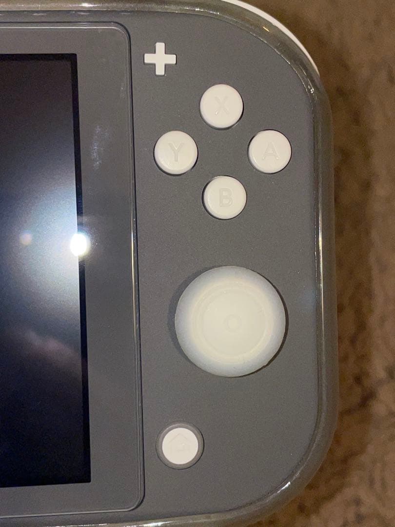 Nintendo Switch Lite グレー 充電器・ケース付き