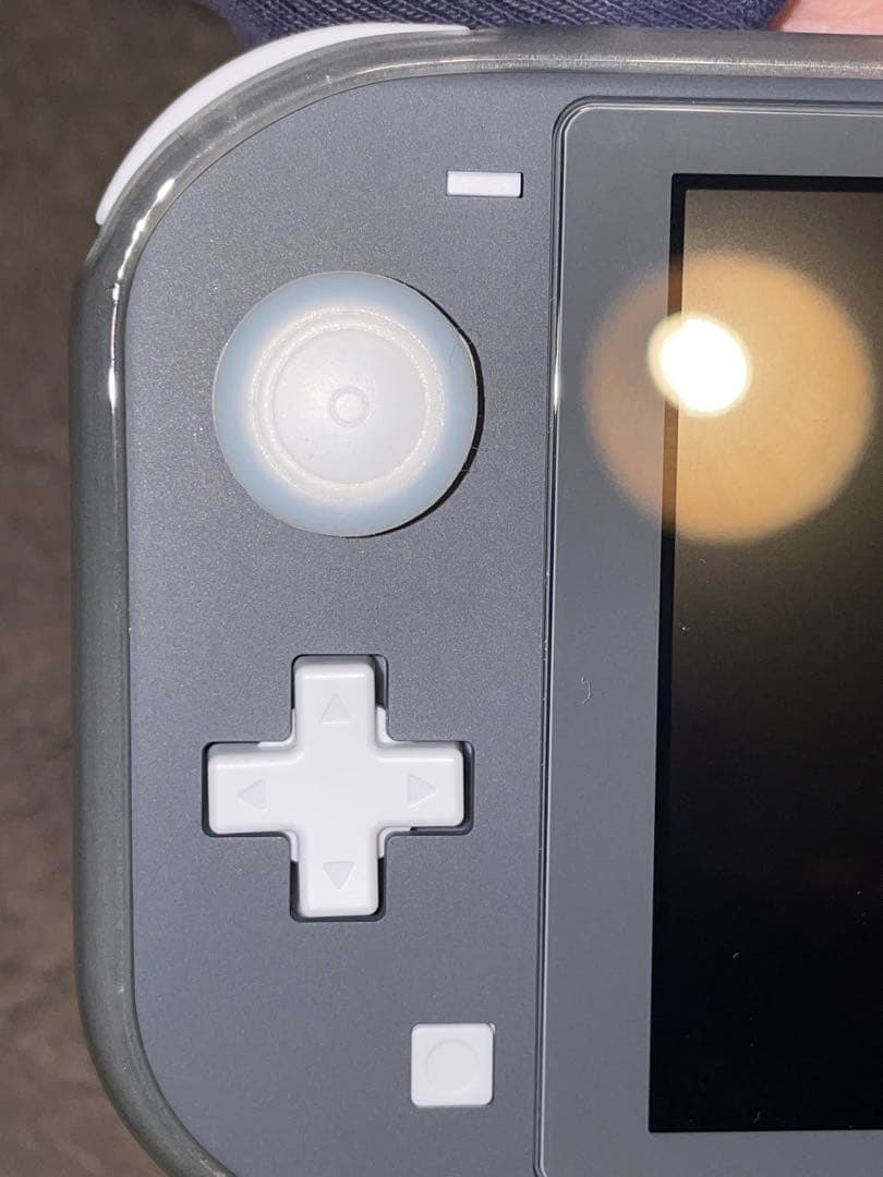 Nintendo Switch Lite グレー 充電器・ケース付き