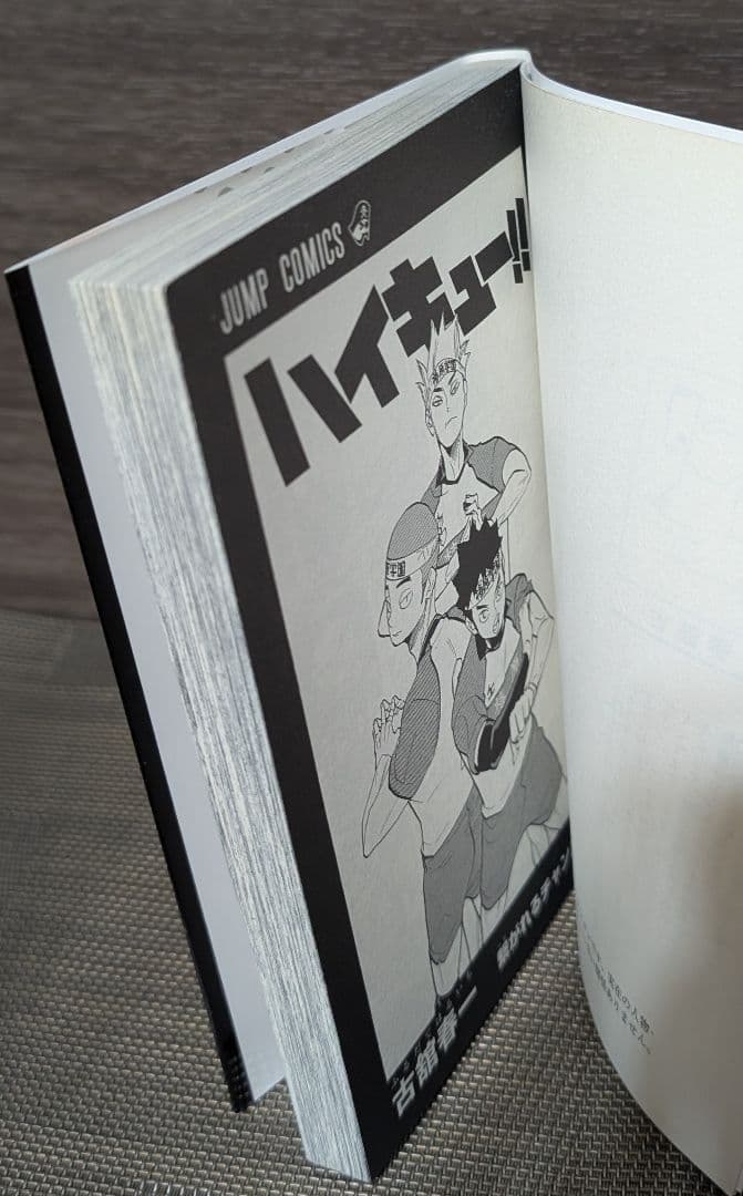 【49冊】ハイキュー!! 1〜45巻 TVアニメチームブック/セイシュンメイカン