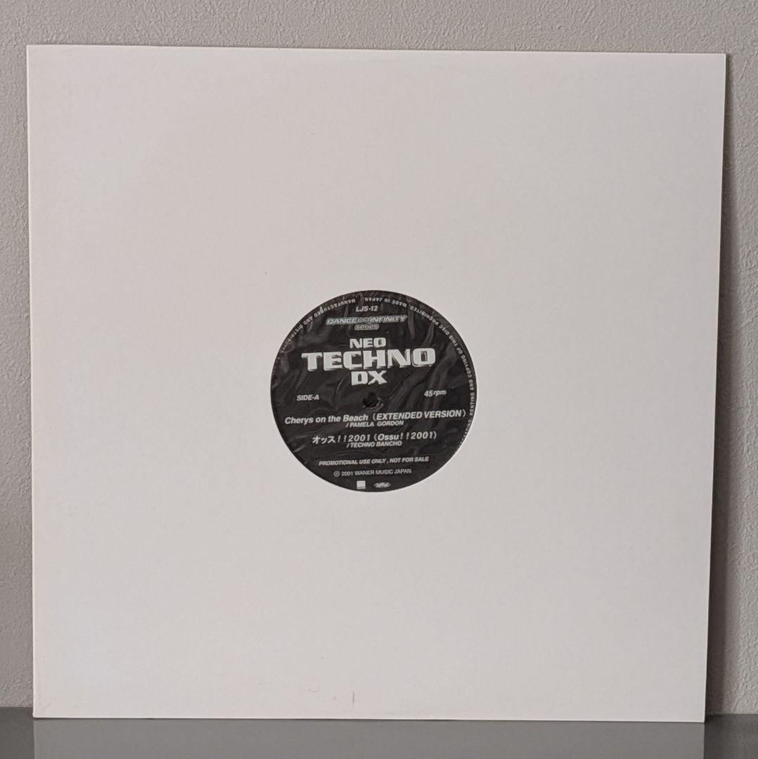 【国内プロモ盤】12インチ 和トランス系 レコード