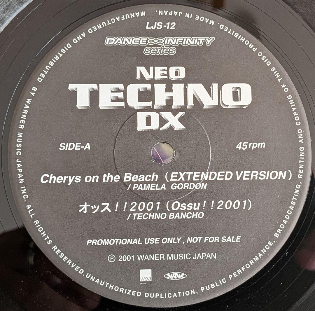 【国内プロモ盤】12インチ 和トランス系 レコード