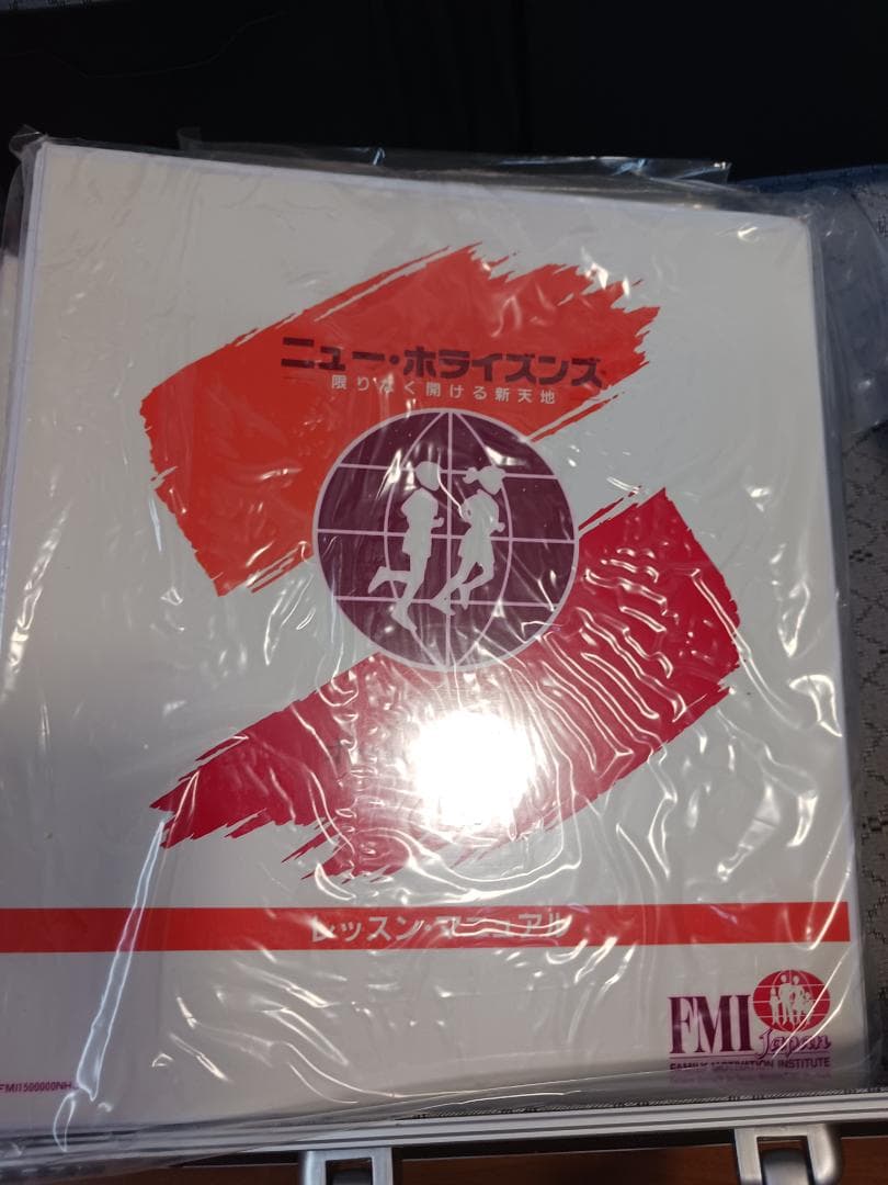 新品未開封、劇レア、ポールJマイヤー、ニューホライズンズ、SMI.PJM,子供用