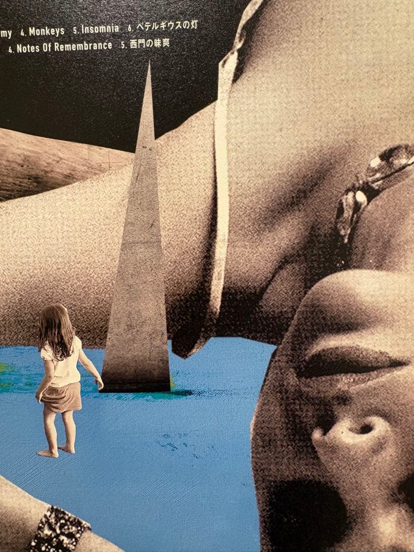 新品　the HIATUS ANOMALY レコード