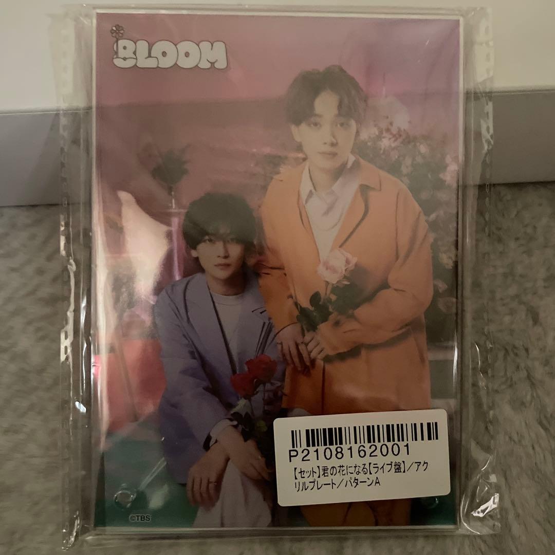 8LOOM/君の花になる～Let's 8LOOM LIVE TOUR～7人の軌…