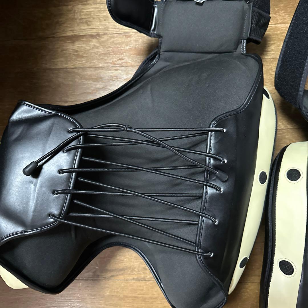 フェアテックス　Fairtex ローキックパッドプロテクター左右セット