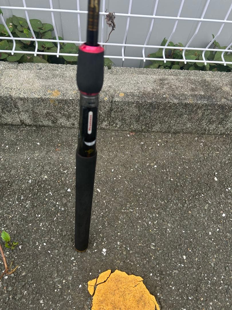 極美品メガバスデストロイヤー エヴォルジオン F5.1/2-68Xtiディアブロ