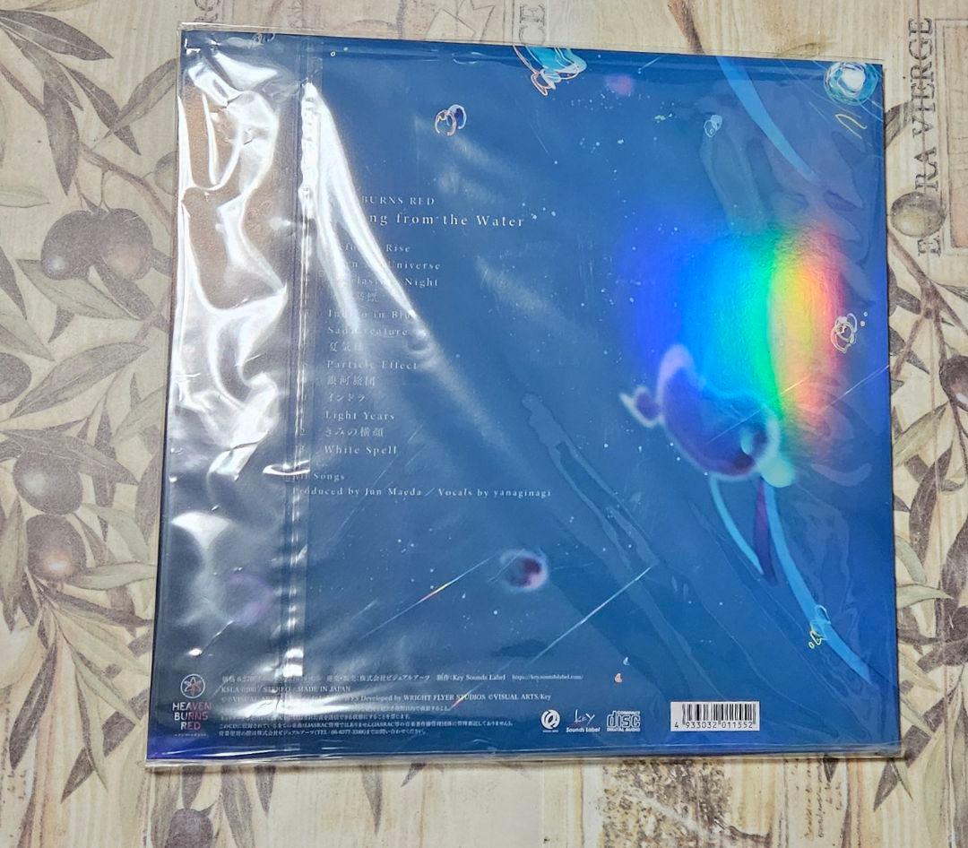 Job for a Rockstar 初回生産限定盤