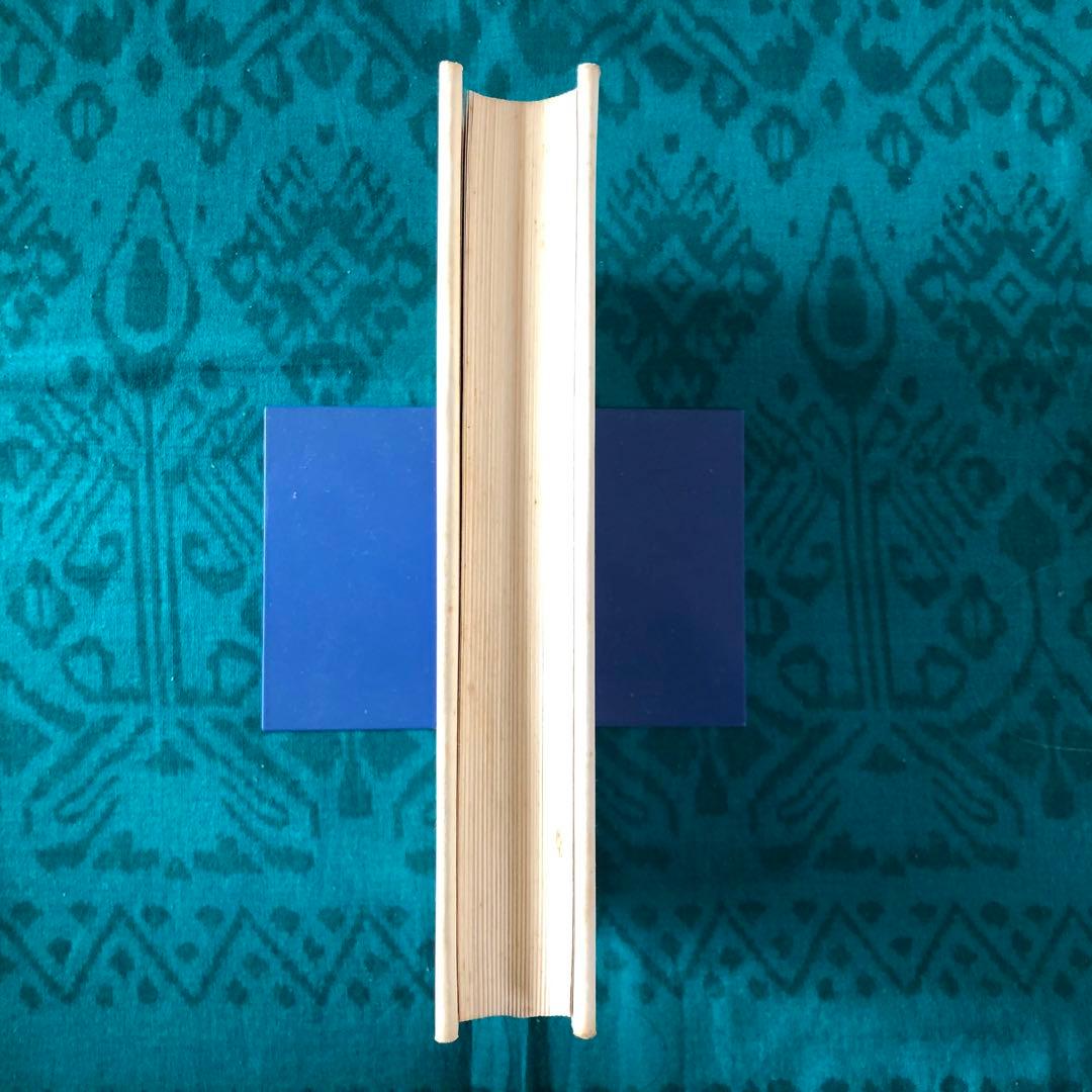 【絶版・希少】聖老人　百姓・詩人・信仰者として　山尾三省