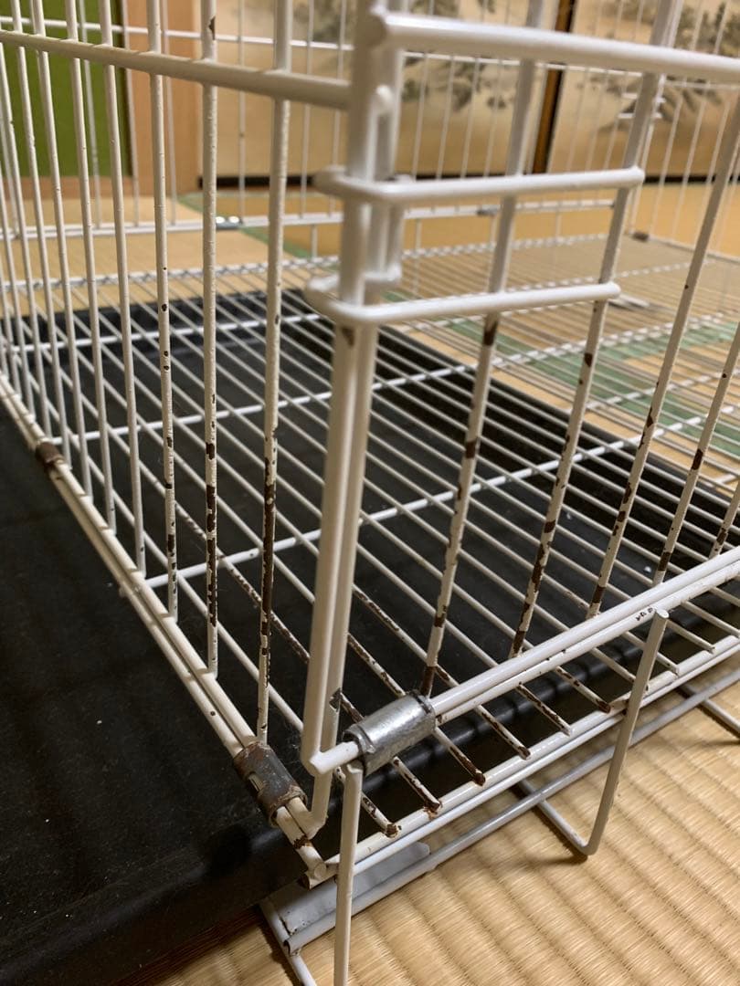 あずき　 大型ゲージ　お掃除簡単　チンチラ　ゲージ　小動物