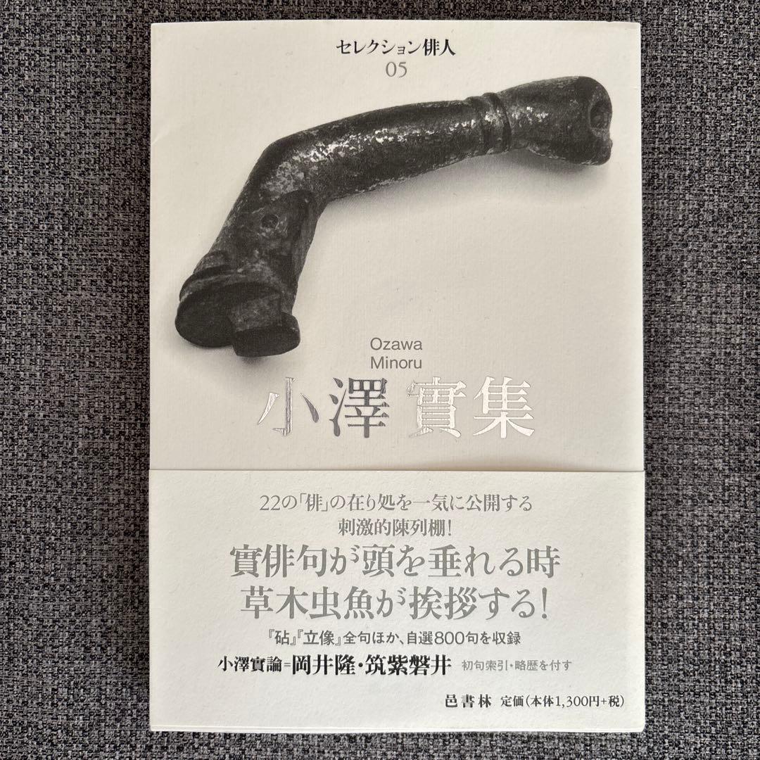 小澤實集 セレクション俳人 05