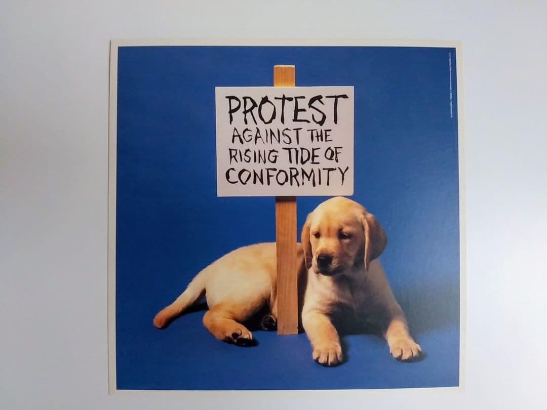 美品A Visual Sampler Posters by Mike Mills