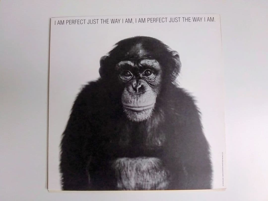 美品A Visual Sampler Posters by Mike Mills