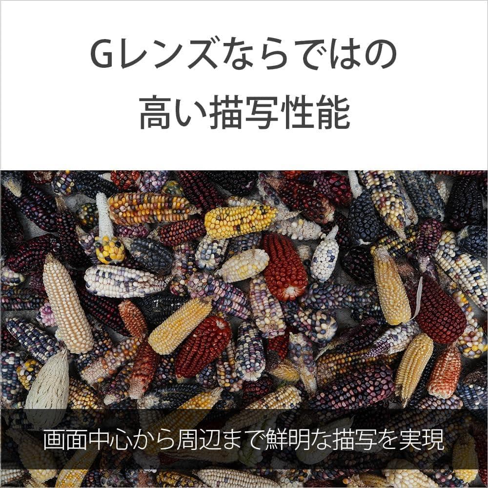 新品未使用　ソニー レンズ FE 24-50mm F2.8 G SEL2450G