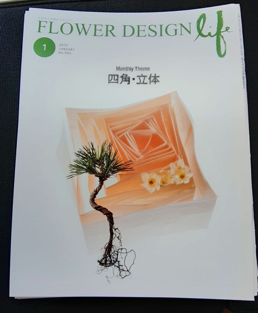 2015/2016/2020/2024 フラワーデザインライフ　 マミフラワー