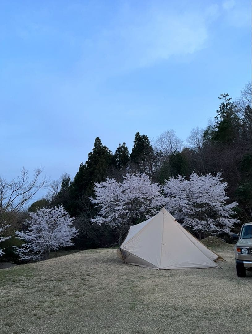 SABBATICAL ベージュテント モーニンググローリーtc