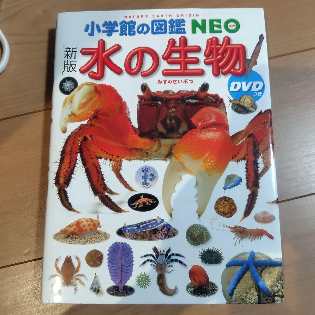 小学館の図鑑NEO 11冊セット　DVD8冊あり