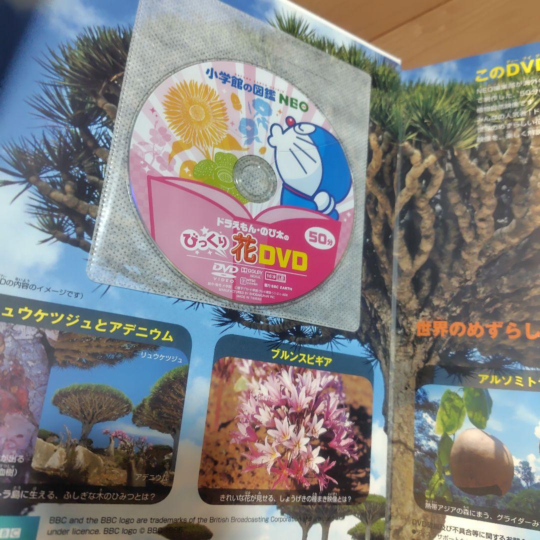 小学館の図鑑NEO 11冊セット　DVD8冊あり