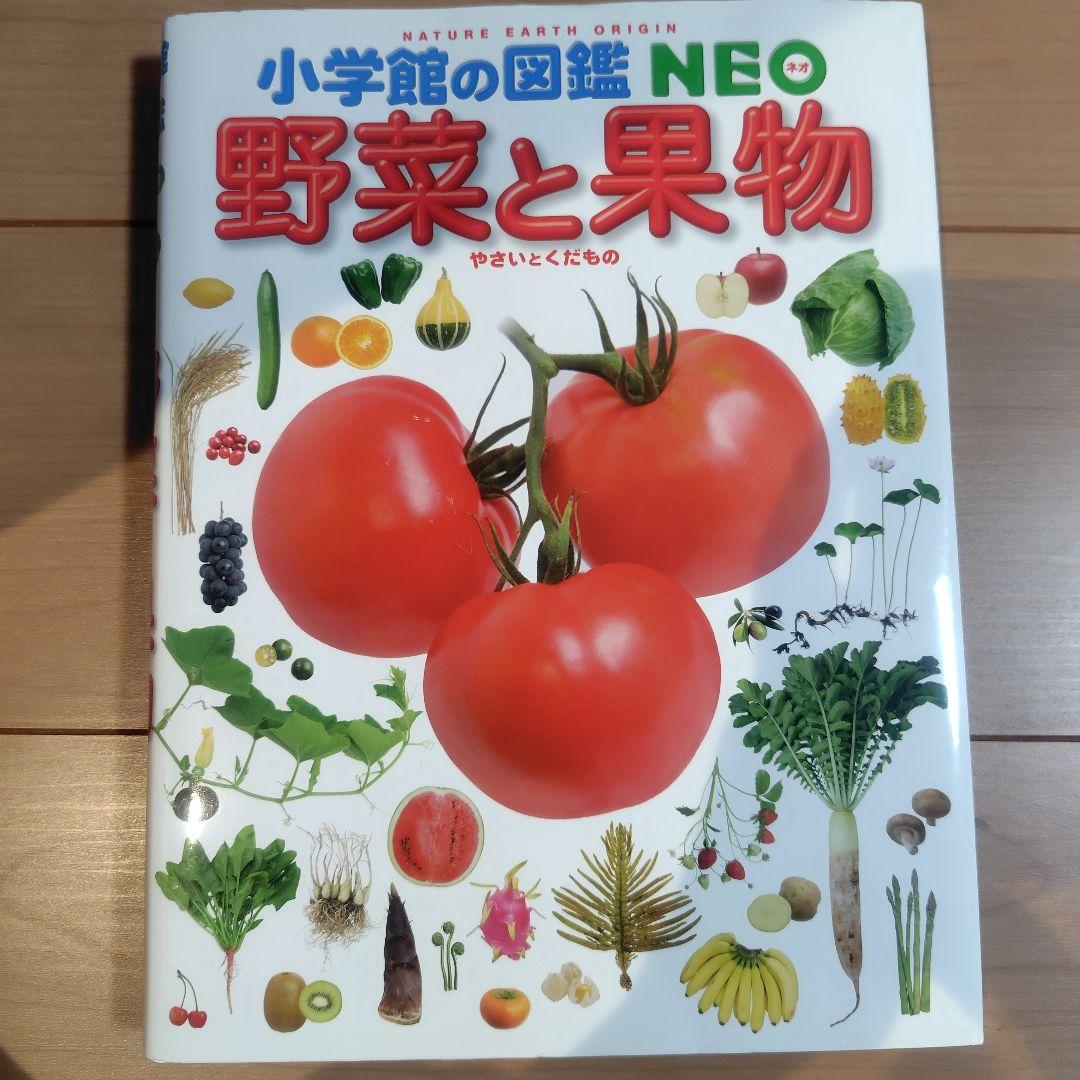 小学館の図鑑NEO 11冊セット　DVD8冊あり