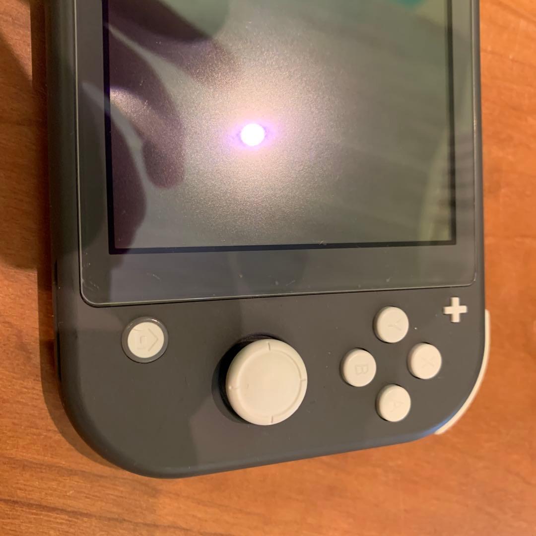 C*t様 Nintendo Switch Lite グレー 本体（Lボタン不可動