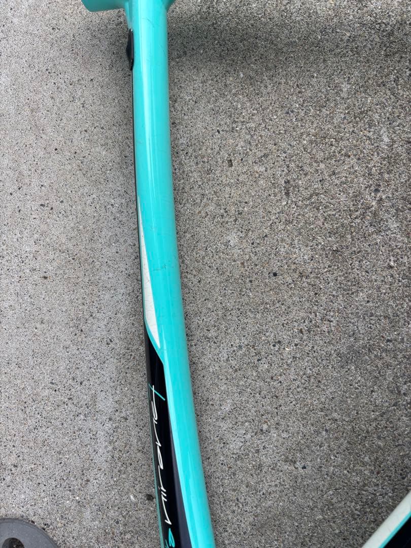 Bianchi ビアニローネ7 2019